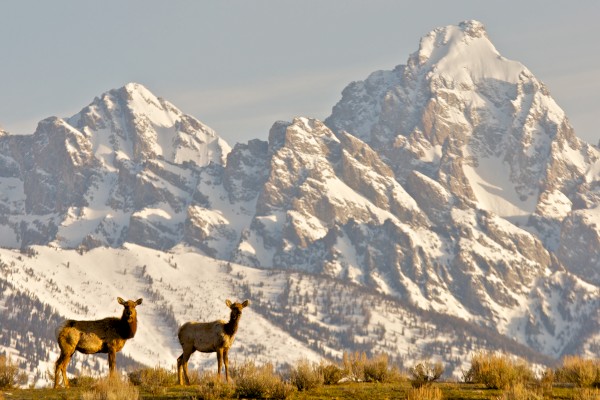 Snow King Resort Hotel and Condos