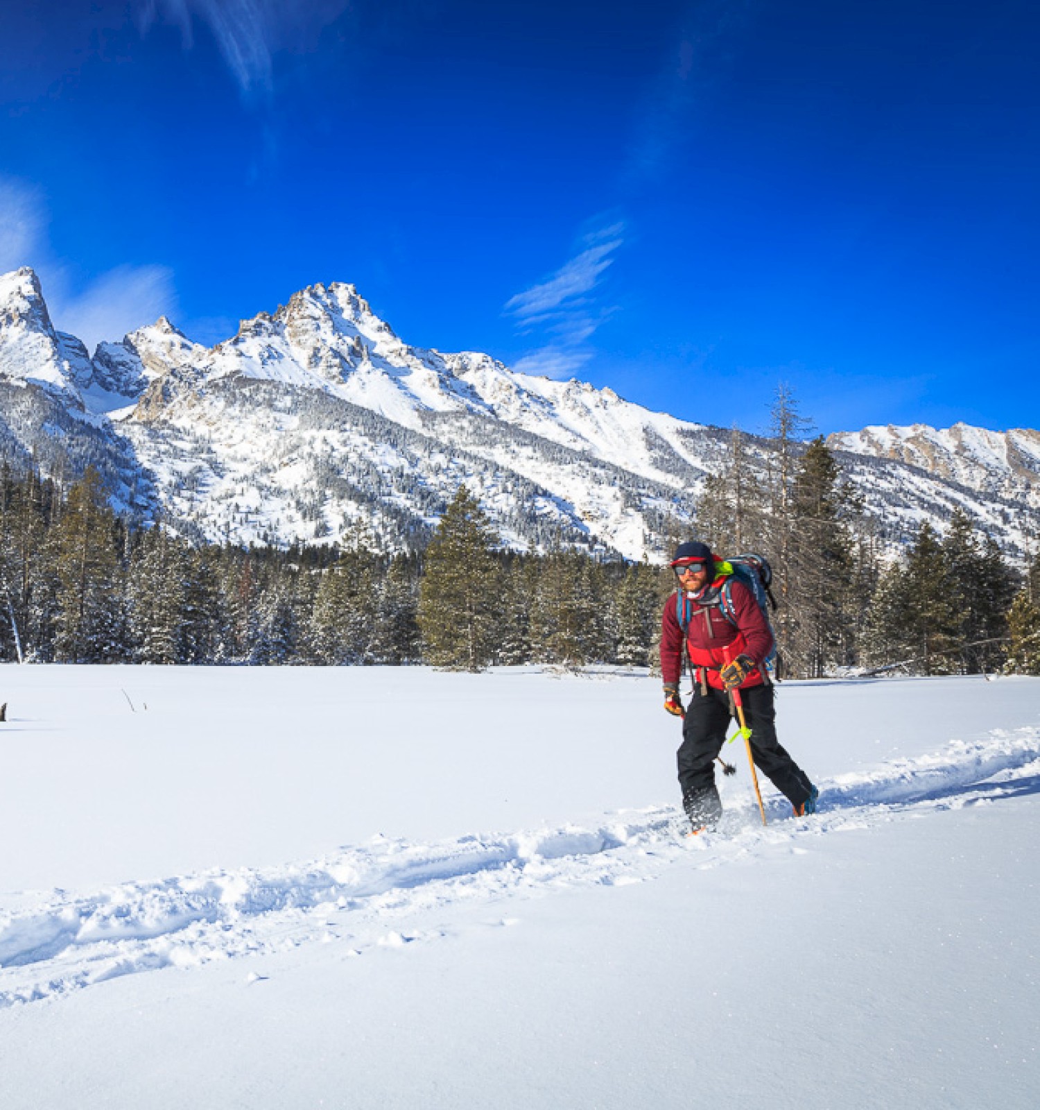A person is snowshoeing in a snowy landscape with pine trees and mountain peaks under a blue sky in the background.