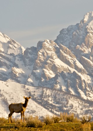Snow King Resort Hotel and Condos