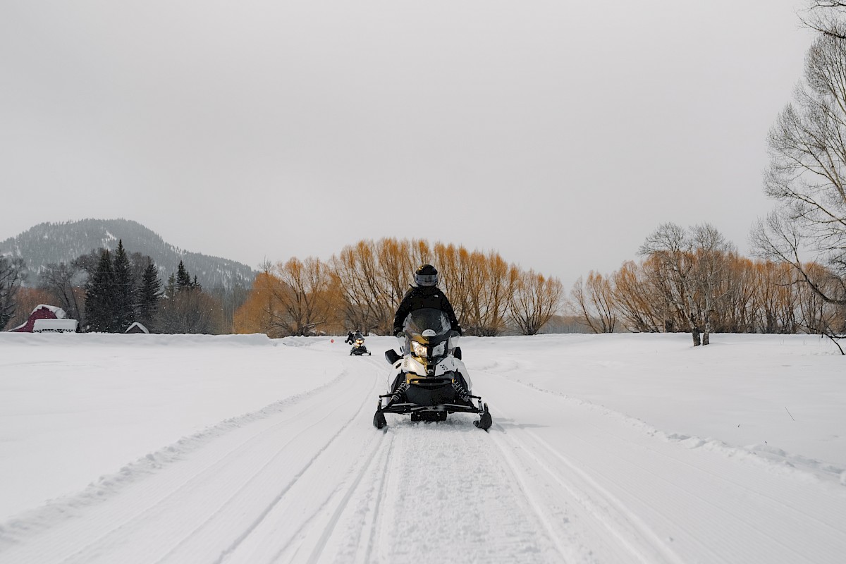 A person riding a snowmobile on a snowy trail with trees and a mountainous background, while overcast skies loom above.