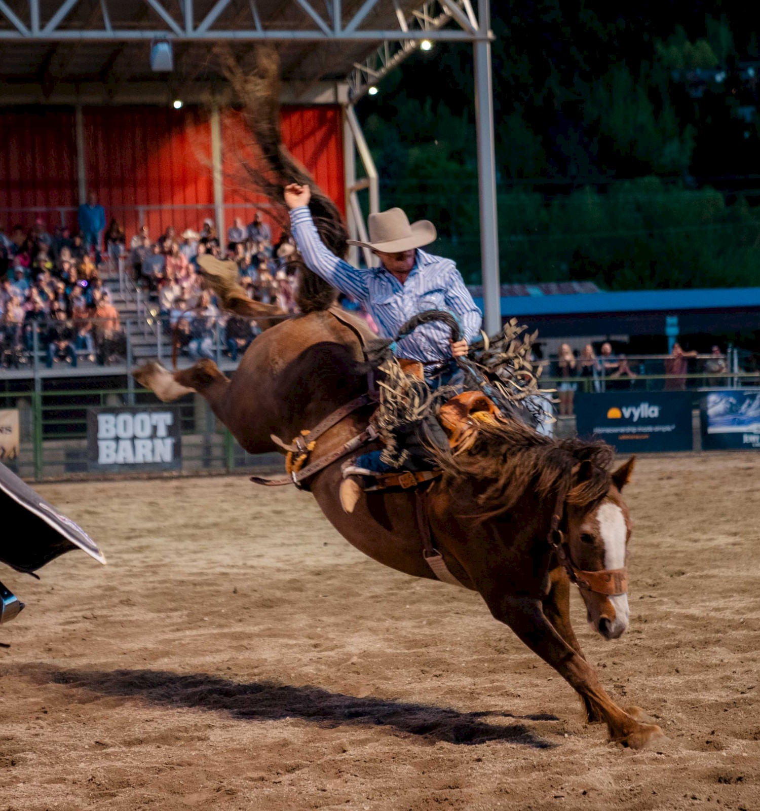 A rodeo rider on a bucking horse in an arena, with spectators watching from the stands.