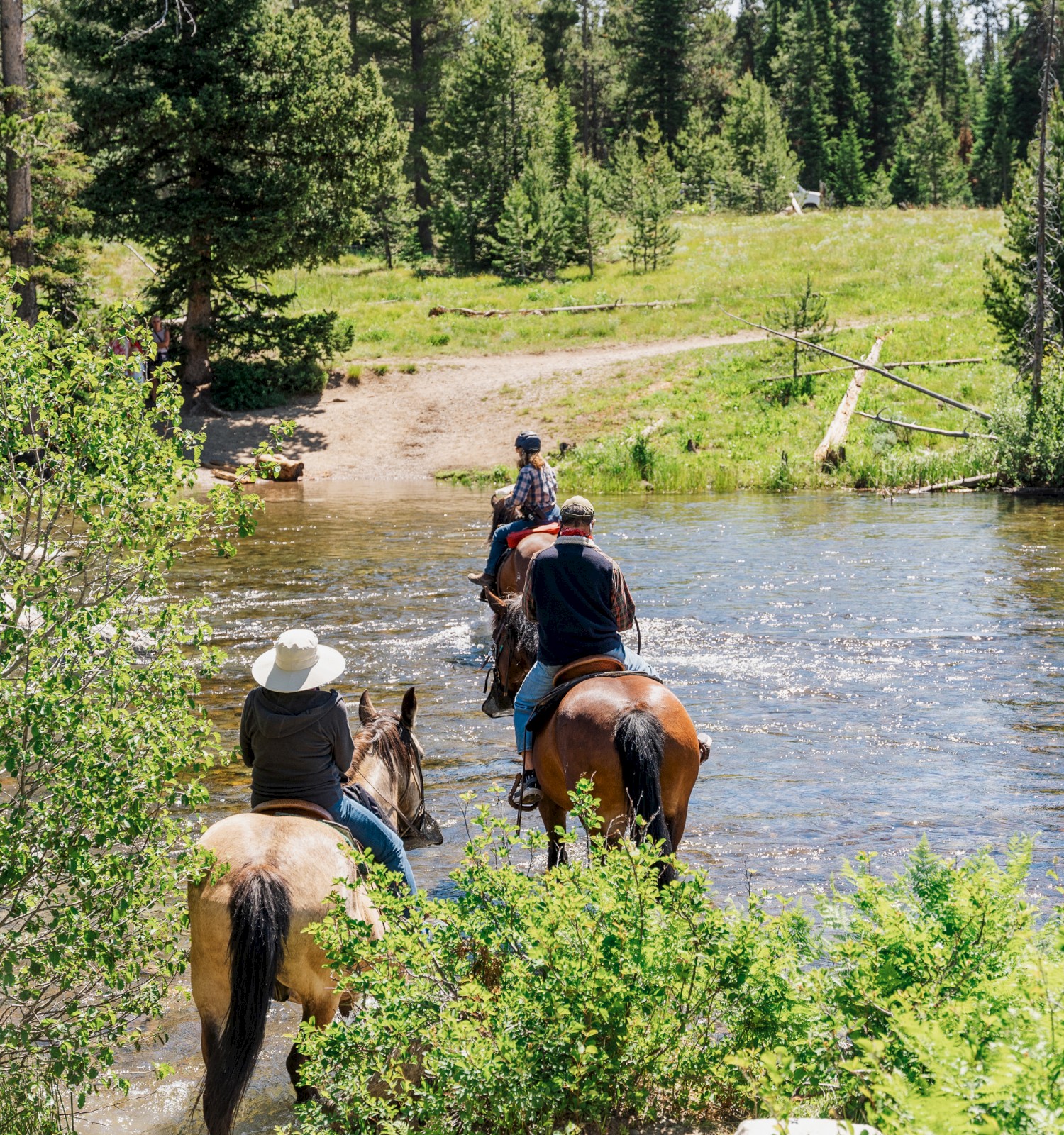 People are riding horses through a shallow river in a forested area under clear skies.