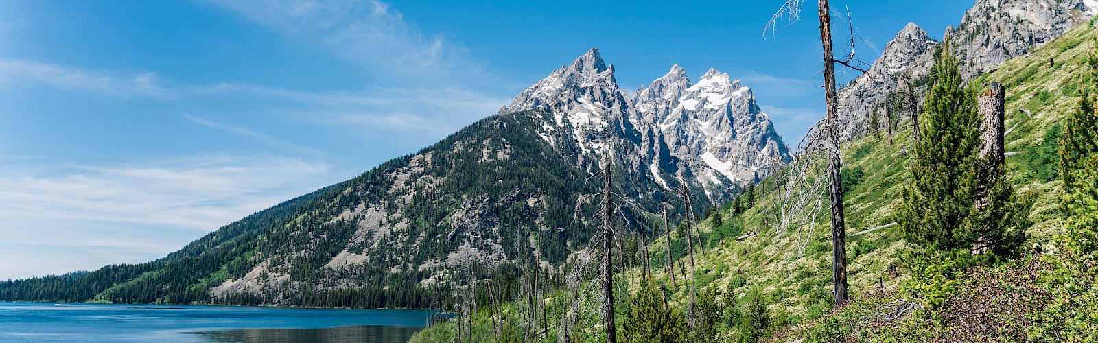 A scenic landscape featuring a dirt trail by a lake, surrounded by greenery, leading to snow-capped mountains under a clear blue sky.