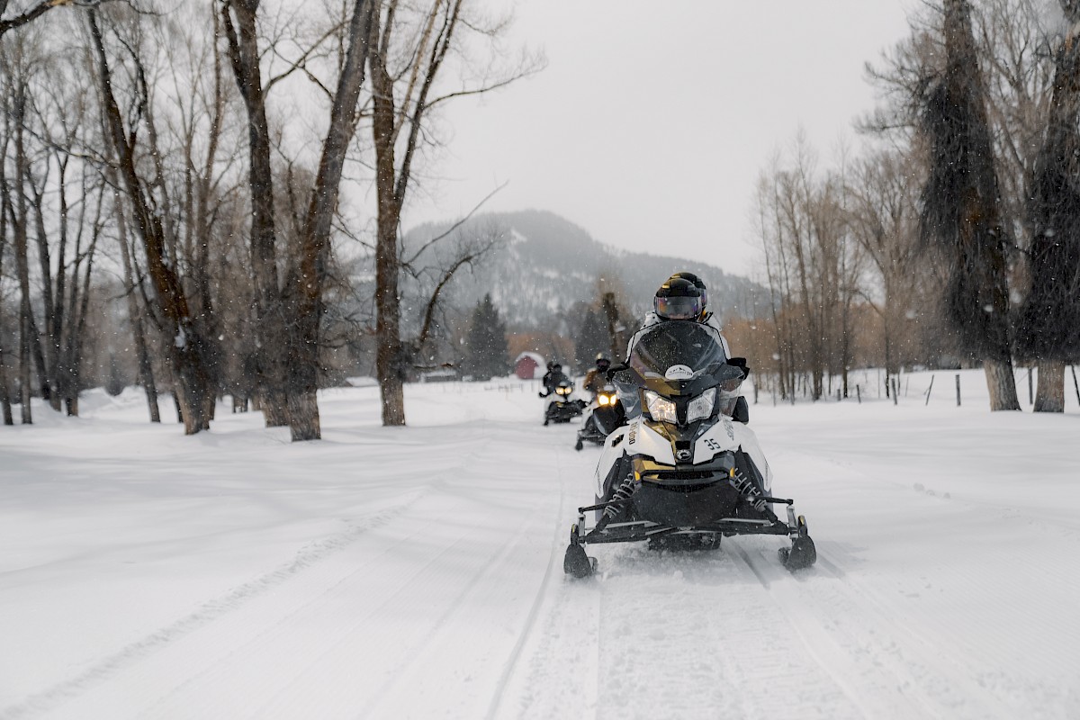People riding snowmobiles on a snowy trail through a forested area, with mountains in the background.