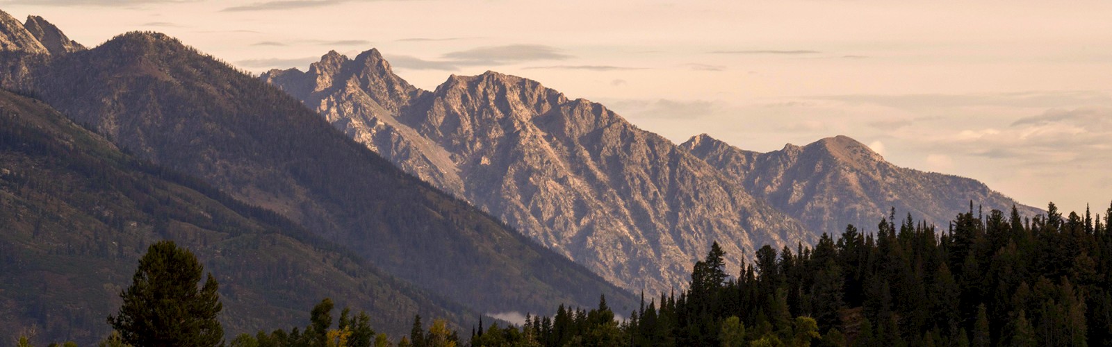 A mountain range rises above a grassy plain with evergreen trees at the base, under a warm, pastel sky.