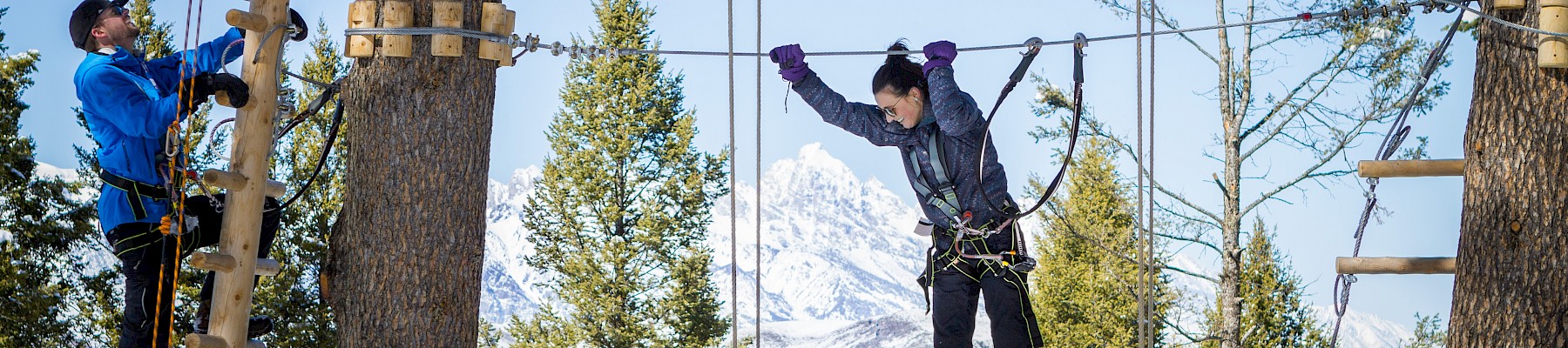 People navigate a treetop obstacle course among snow-capped pines, with one instructor guiding a participant on a suspended bridge.
