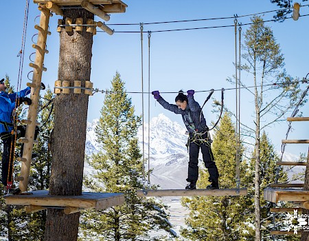 People navigate a treetop obstacle course among snow-capped pines, with one instructor guiding a participant on a suspended bridge.